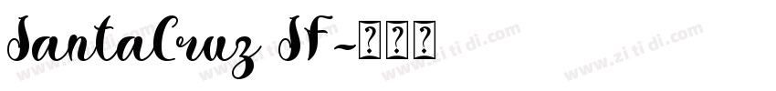 SantaCruz SF字体转换